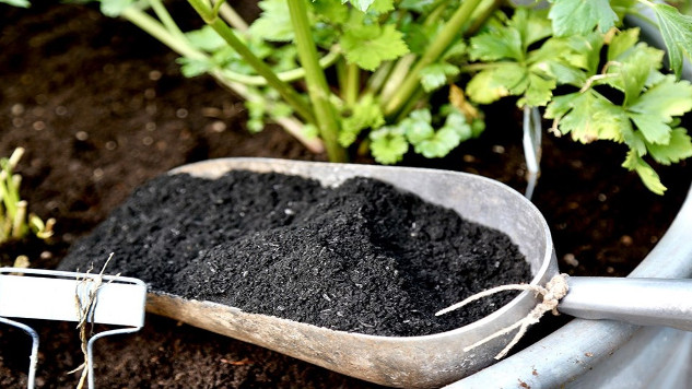 using biochar in garden 1 14
